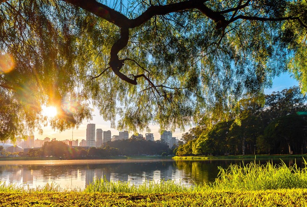 Veja quais parques estaduais estão abertos para visitação