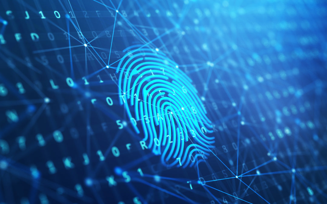 Mesmo sem biometria, eleitor poderá votar em 2022