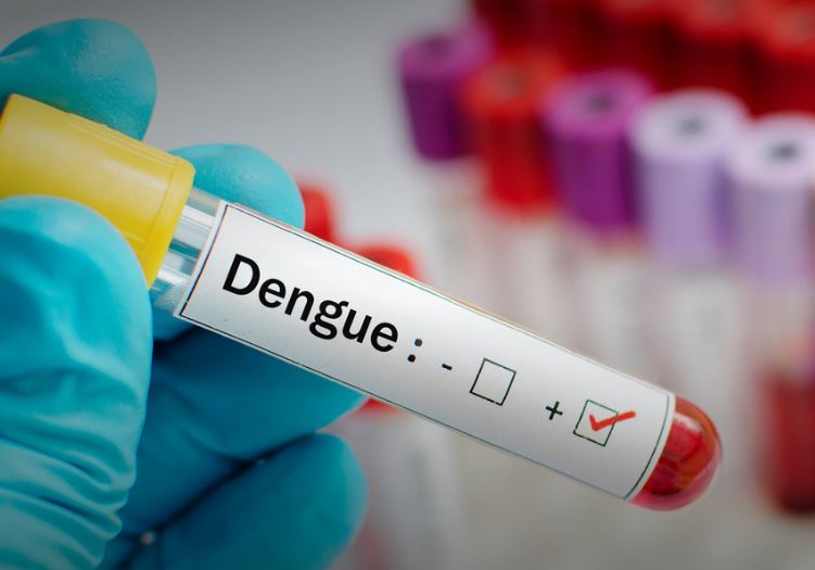 Nova vacina contra a dengue: aplicação em clínicas particulares começa na próxima semana